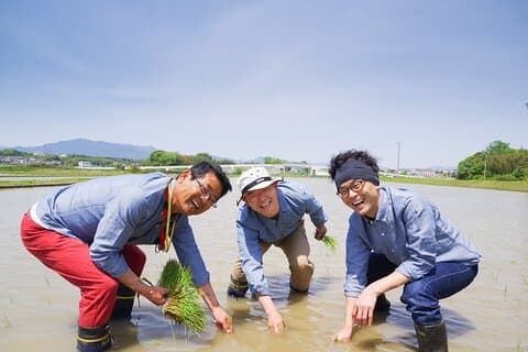 Experiencia privada en agricultura de arroz en Mie