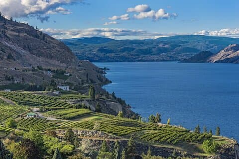 Tour privato del vino di Summerland con guida a collo di bottiglia da Kelowna