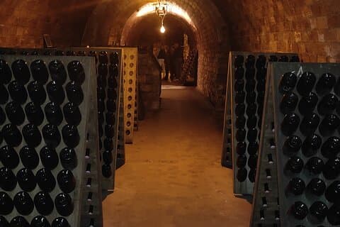 Winery visit and tasting tour in the vineyards