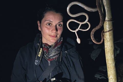 Geheimer Nachtspaziergang in Puerto Jimenez