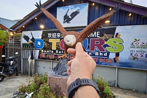 Ildfluer Kuala Selangor