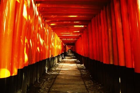 Private eBike Tour Exploring Fushimi with Torii Red Gate Ride