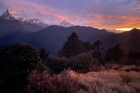 Pokhara: 4 Days Poon Hill and Ghandruk Trek