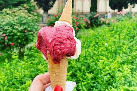 Siena walking tour with Gelato & Prosecco