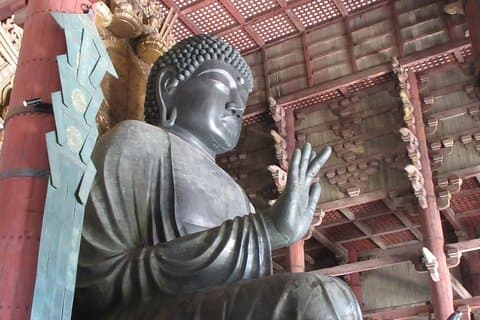 Nara ENGLISH GUIDE, Giant Buddha, Deer free in the park