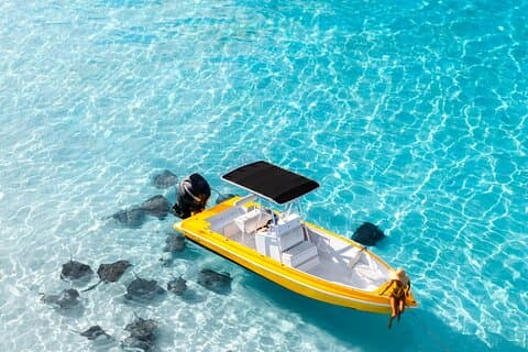 Tour privati in barca: personalizza la tua avventura a Grand Cayman!