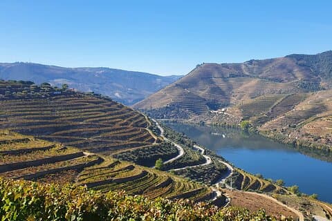 Douro Valley Tour: Wine Tasting River Cruise and Lunch from Porto