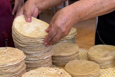Cabo San Lucas Mexican Cooking Class Experience and Local Markets