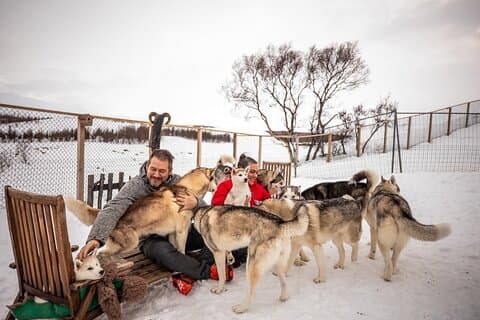 Husky-Streicheln in Akureyri