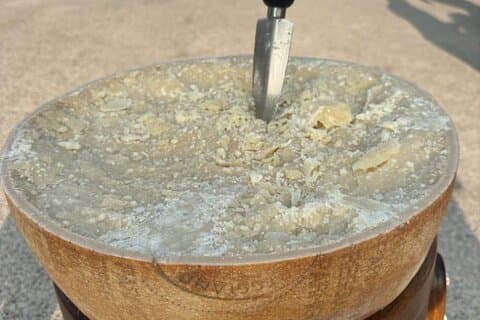Da Bologna: tour del parmigiano e dell'aceto balsamico+pranzo