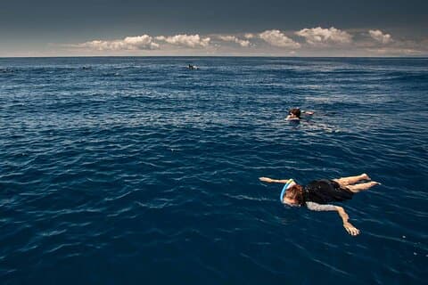 Terceira Island | Privado: Snorkeling vida selvagem em áreas protegidas