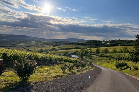 2 Day Green Hills Bike and Wine Escape Days