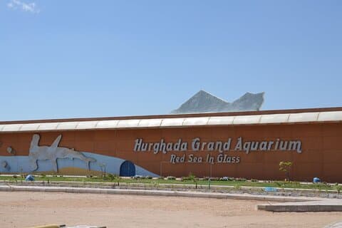 Visite découverte du Grand Aquarium Hurghada avec billets et transferts