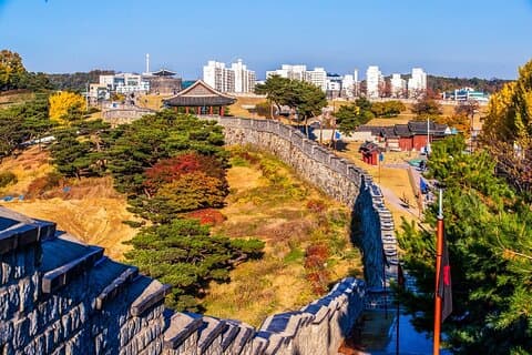 Spring Flower Festival and Seosan Gaesimsa and Munsusa Tour