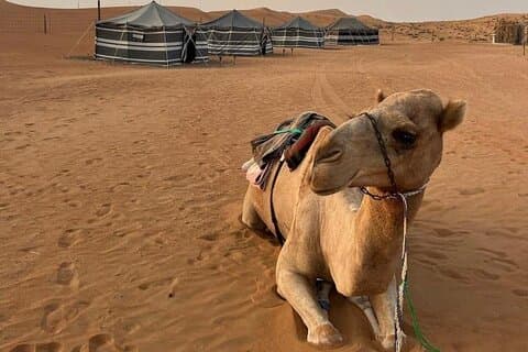Safari nel deserto di Wahiba in 4WD e avventura a nuoto di Wadi Bani Khalid