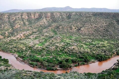 2 Days Awash National Park