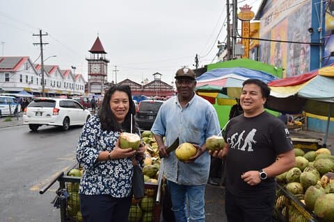 Guyana Layover Tour