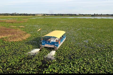 90 Minuten Florida Everglades Wildlife Boat Tour