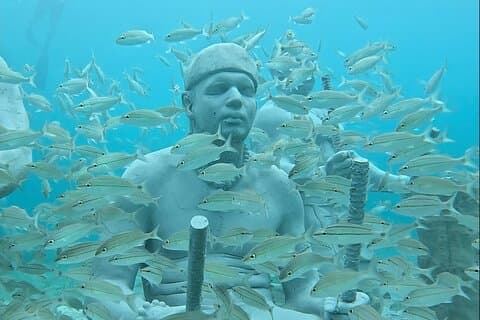 Underwater Sculpture Park Snorkel Adventure