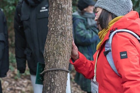 Forest Therapy in Sasaguri town