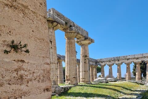 Tour Privato Mezza Giornata ai Templi di Paestum