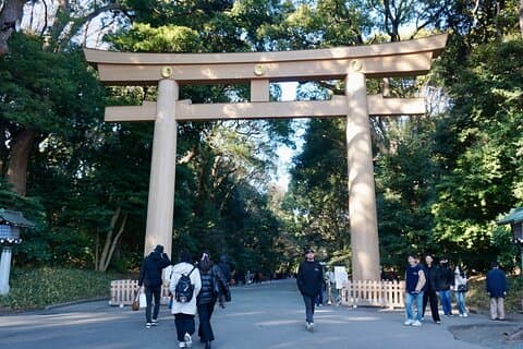 Tokyo Walking Tour: Meiji Shrine, Harajuku&Shibuya Crossing