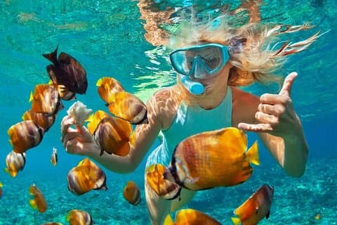 1 timmes privat snorklingsaktivitet i Montego Bay