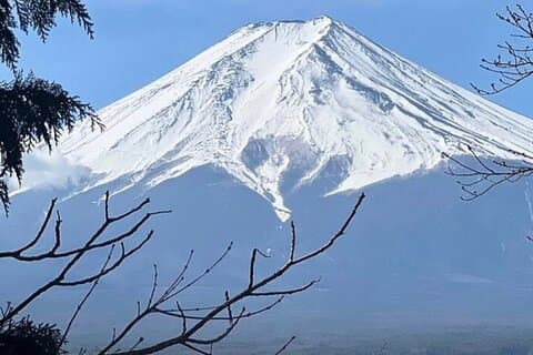 Dagtrip naar Fuji vanuit Tokio met Engelstalige chauffeursgids