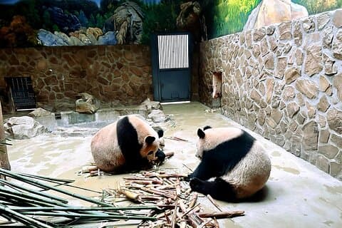 Tour privato di Xi'an di 3 giorni con i punti salienti della città