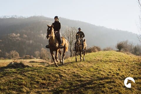Horseback riding for experts between the lake and the mountains