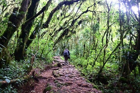 1 dag Mount Kilimanjaro