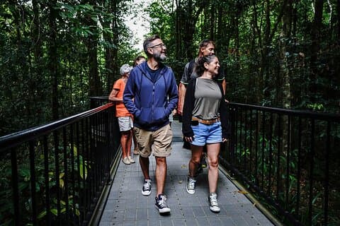 Port Douglas & Daintree Tour for Cruise Ship Passenger