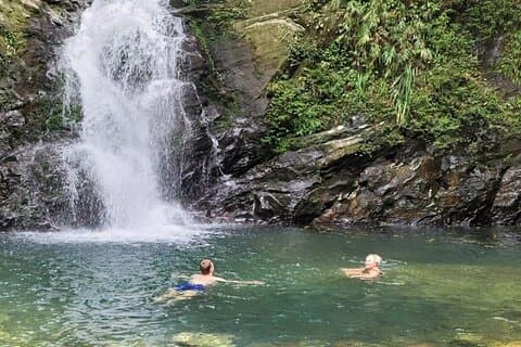 Exploring Bach Ma National Park Trekking Day Tour