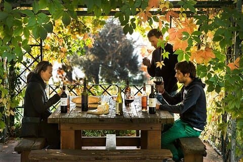 Visita y degustación de vinos ecológicos en la Toscana