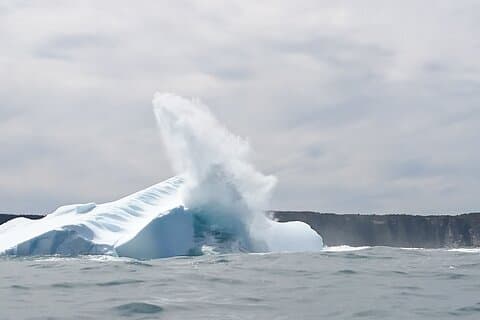 3 Hour Ocean Safari by Zodiac - Whales & Icebergs Seasonally