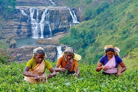 7-daagse Ramayana Trails-tour in Sri Lanka