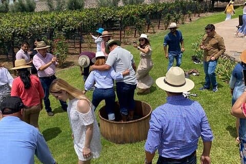 Privat tur til Finca Estramancia Vineyard og Chapala Riviera