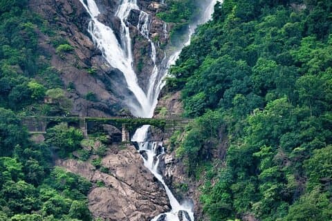 Dudhsagar-watervallen, privétour Jeepsafari en specerijenplantage