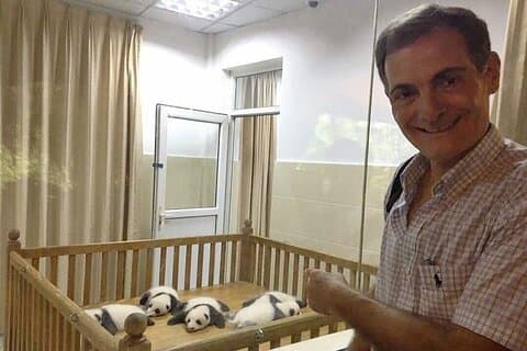 Visite privée des pandas en escale à Chengdu
