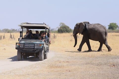 10 Days Botswana Mobile Tented Camping Tour