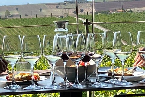 Tour del vino a un passo dalla città