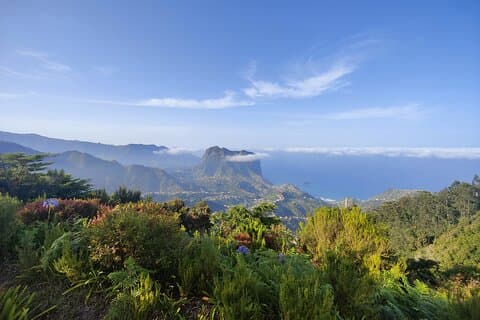 Full Day of Wonders: Tour Privado en 4x4 por Madeira
