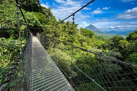Ponts suspendus privés + visite de la cascade + déjeuner costaricien