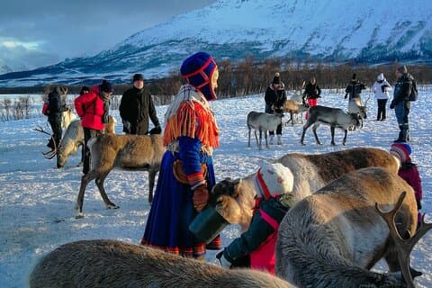 Rendiervoeding en Sami-cultuur Middagvertrek