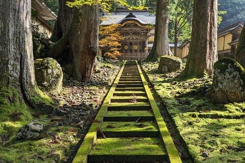 Heldagstur Eiheiji Buddhist Temple og Fukui City Castle Town