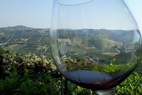 Wine Tour with a winemaker