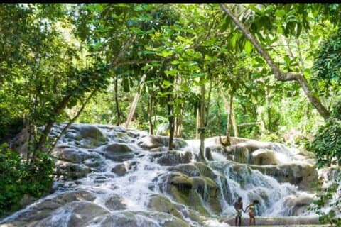Private Dunn's River Falls and Tubing Tour From Ocho Rios