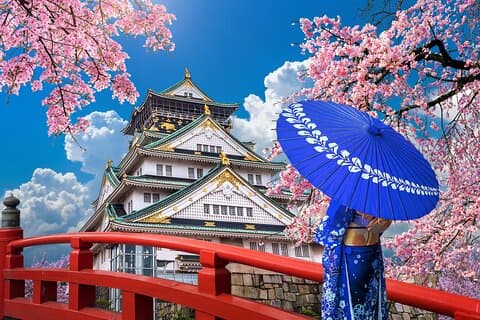 Private Day Tour in Osaka and Kyoto with charter car