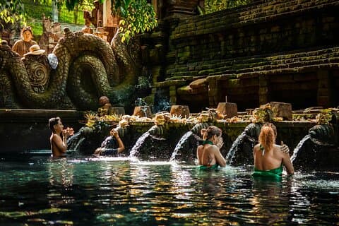 Opplev Ubud høydepunkter privat tur