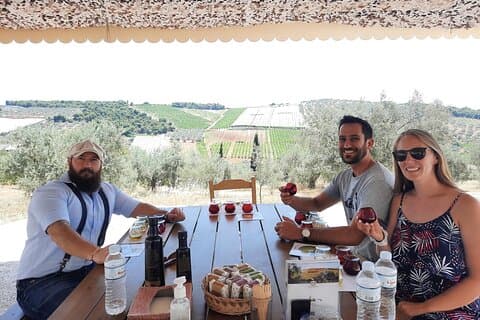 Excursion dans les oliveraies et les vignobles au départ d'Athènes